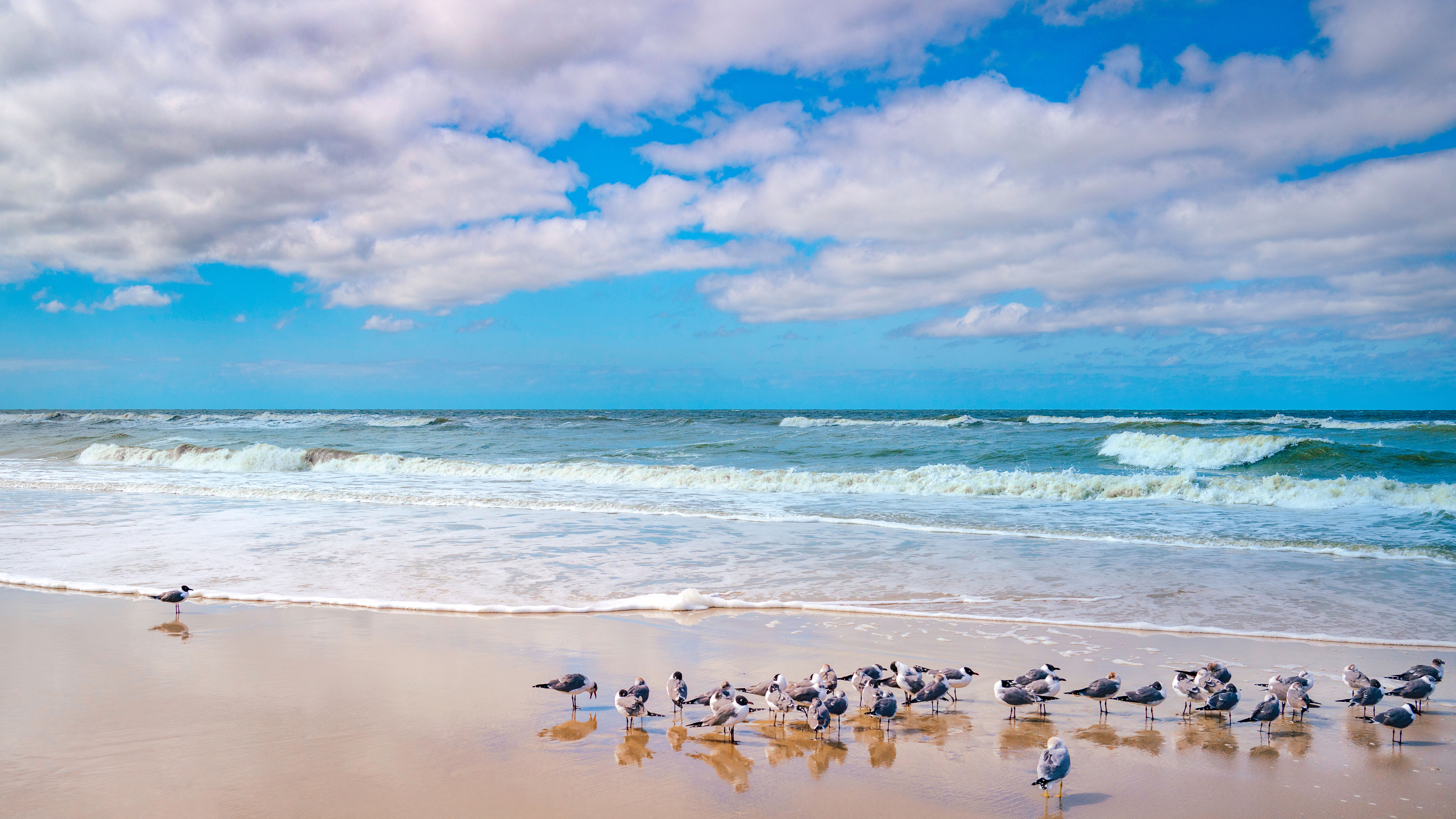 beach