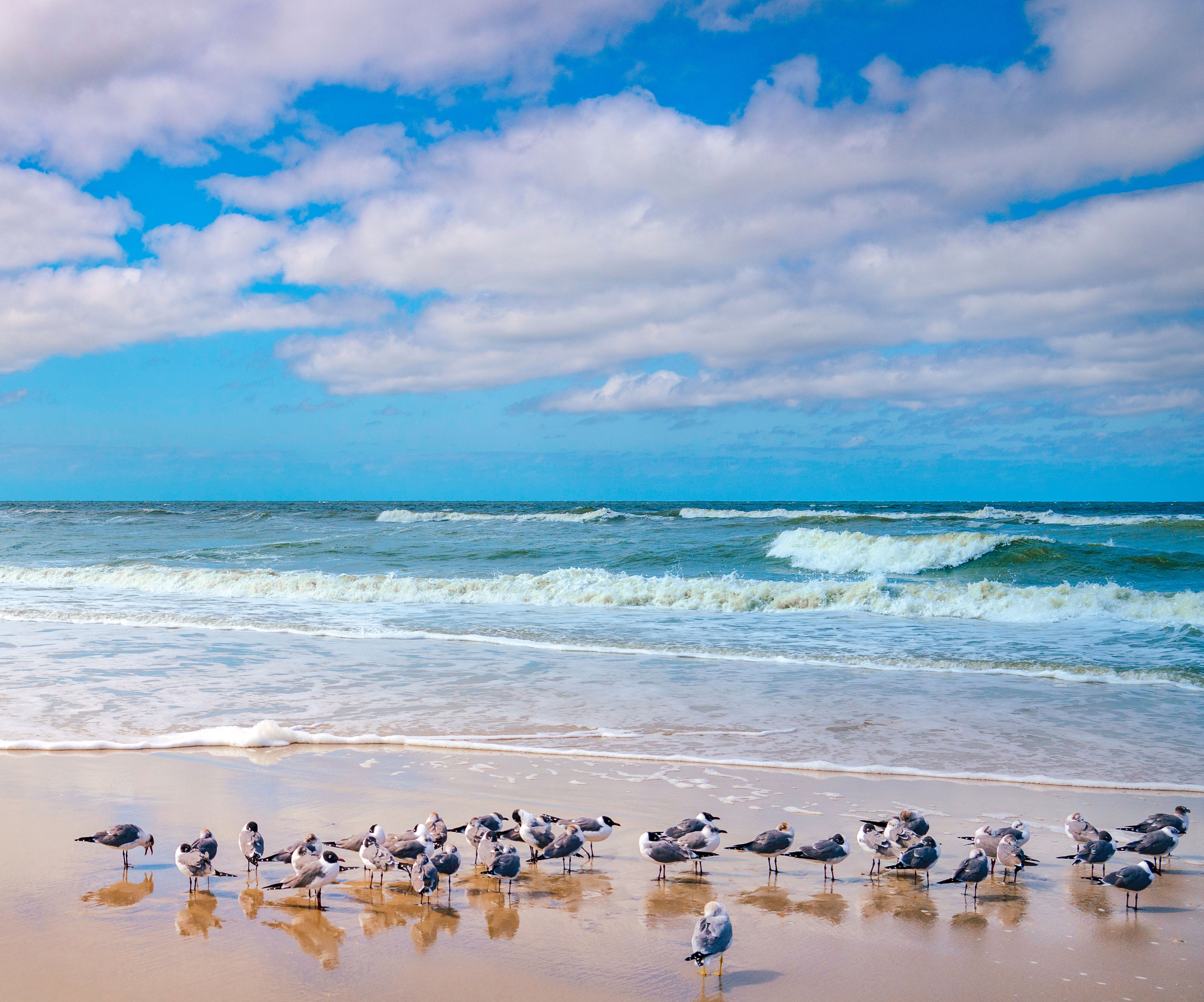 beach
